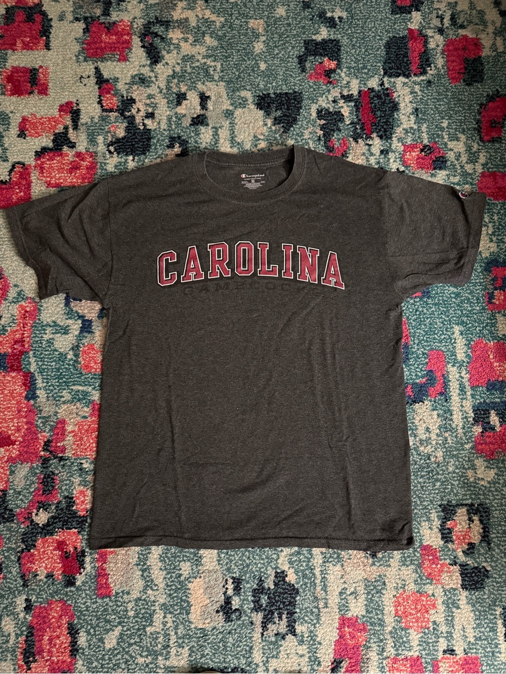 Vintage Champion South Carolina Gamecocks T-Shirt - Adult Medium